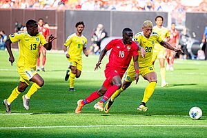 Archivo:Concacaf Gold Cup (48248735552)