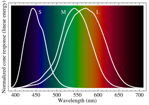 Archivo:Cone-fundamentals-with-srgb-spectrum