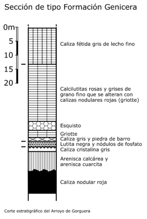 Archivo:Corte estratigráfico de una sección tipo Genicera