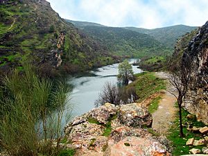 Archivo:Curso bajo del río Lozoya