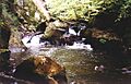 Dronne Saut du Chalard