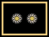 EG 04 02 Superintendente.png