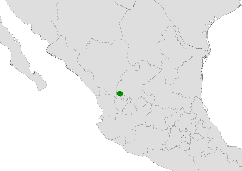 Echinocereus spinigemmatus range