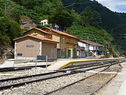 Estación de Santo Estevo de Ribas de Sil.JPG