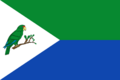 Flag of Rio Grande, Puerto Rico