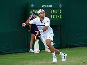 Archivo:Flickr - Carine06 - Fernando Gonzalez (4)