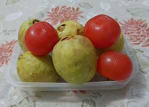 Archivo:Frutas Goiaba e Caqui