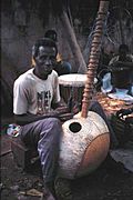 Gambia kora havard