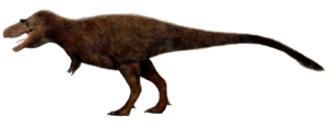 Archivo:Gorgosaurus