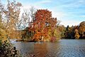 Juncus Pond Greiz