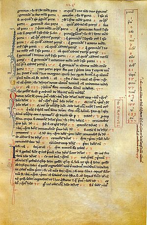 Archivo:Liber abbaci magliab f124r