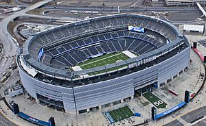 Archivo:Metlife stadium (Aerial view)