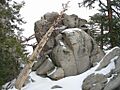 MountSanJacinto RoundValleyTrail