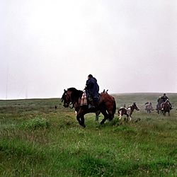 Na rapa das bestas, Candaoso, montes de Buio, Santo André de Boimente, Viveiro, Lugo, Galiza 3.jpg