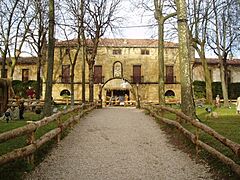 Narros jauregia