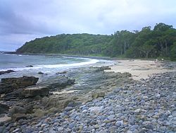 Noosa head-raffi kojian-CIMG6549.JPG