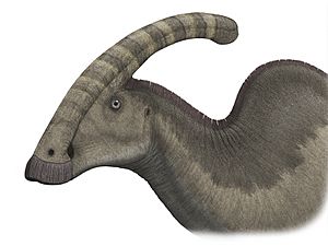 Archivo:Parasaurolophuspic steveoc