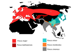 Distribución de las especies de Parus.