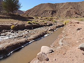 Pueblo de Rio Grande - panoramio (1).jpg