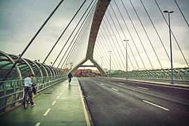 Puente del Tercer Milenio (9129819602)