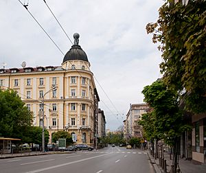 Archivo:Rakovski street Sofia