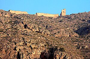 Archivo:Restos-castillo-de-Orihuela
