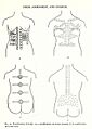 SCHWAB(1947) Fig. 020 Scarification of body