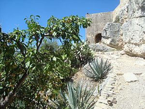 Archivo:Sendera d'accés al Castell de Cervera (Cervera del Maestrat)