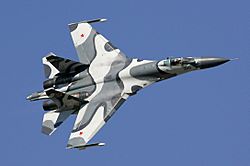 Archivo:Sukhoi Su-27SKM at MAKS-2005 airshow