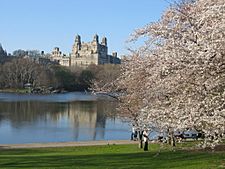 Archivo:The Lake Central Park