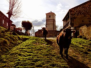 Torre del Reloj de Virtus.JPG