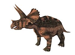 Triceratops0194a.jpg