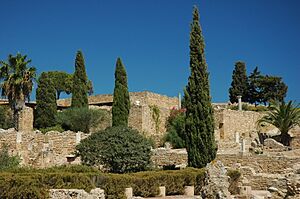 Archivo:Tunisie Carthage Ruines 12