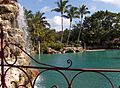 Venetian pool with waterfall and palms at Coral Gables, Miami