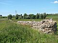 Venta Icenorum - north wall - geograph.org.uk - 1352770