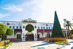 Vista panoramica del palacio municipal de isla durante navidad.jpg