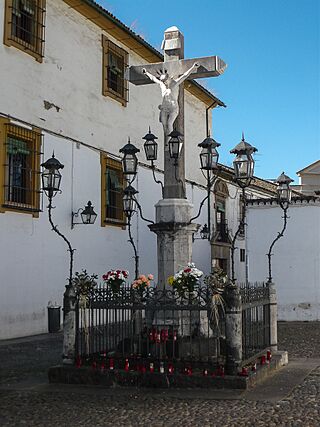 WLM14ES - 16102009 132750 CRDB 0695 - .jpg