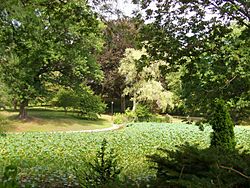 Archivo:Wilcox Park (pond) - Westerly, RI