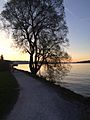 Zurichsee (Horgen View)
