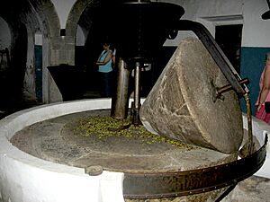 Archivo:Ölmühle auf La Granja
