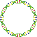 201907 PlasmidDNA L