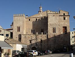 Castillo Palacio de la localidad