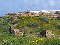 Apollonia - wall