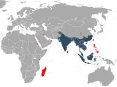 Distribución de la musaraña casera (azul - nativa) (rojo - introducida)
