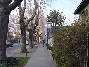Archivo:Avenida Simon Bolivar La Reina Chile 0994