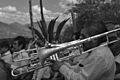 Banda de viento en Boxaxni