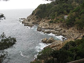 Beach of Lloret de Mar-4.jpg