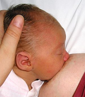 Archivo:Breastfeeding02