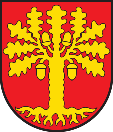CHE Roveredo COA