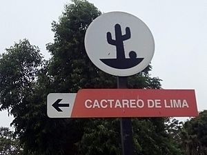 Archivo:Cactareo de Lima